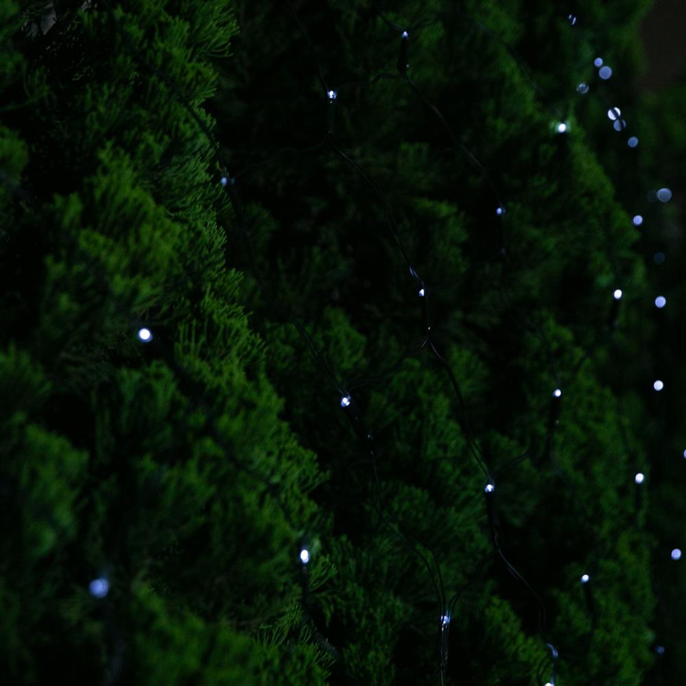 150 LED Solar Net Cool White