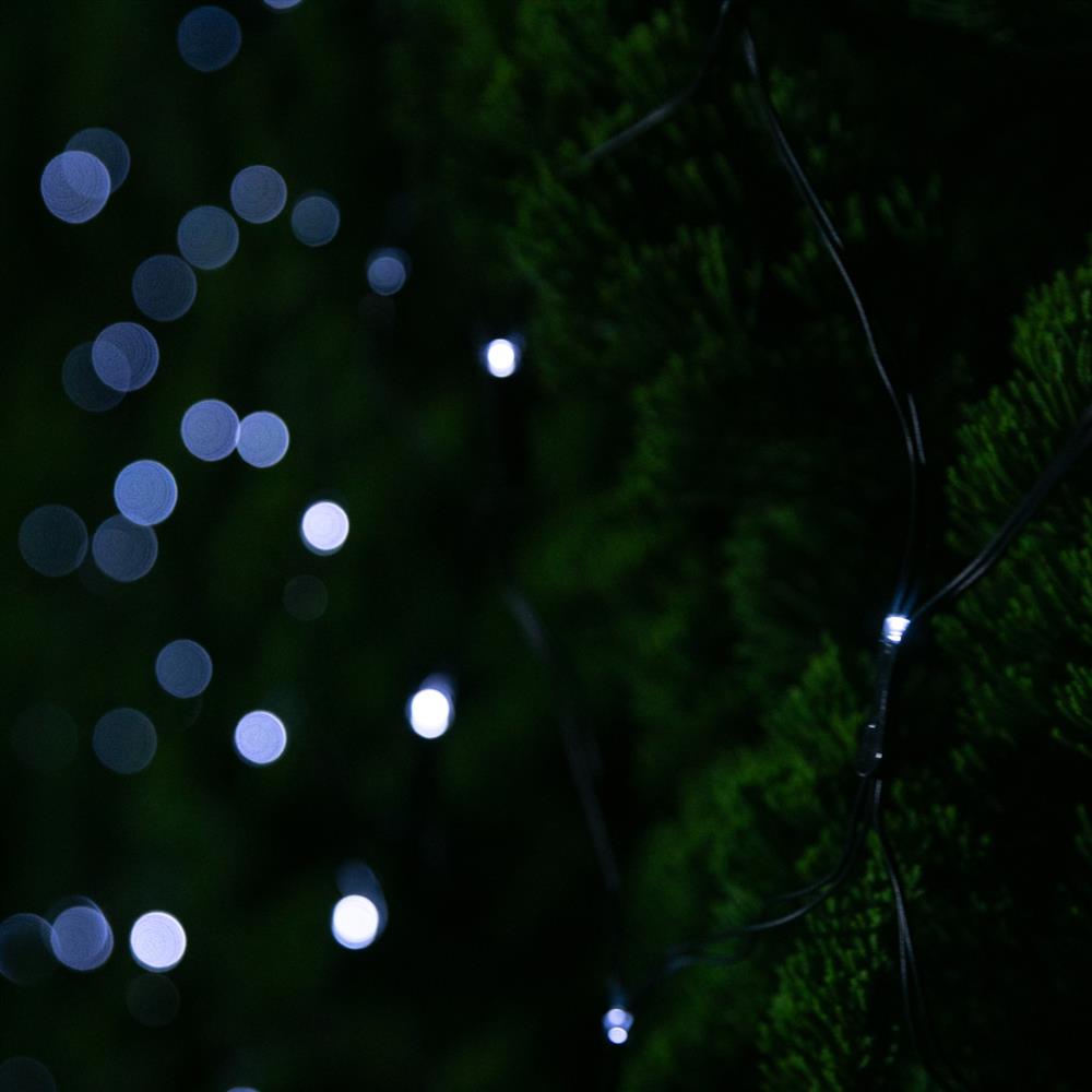 150 LED Solar Net Cool White