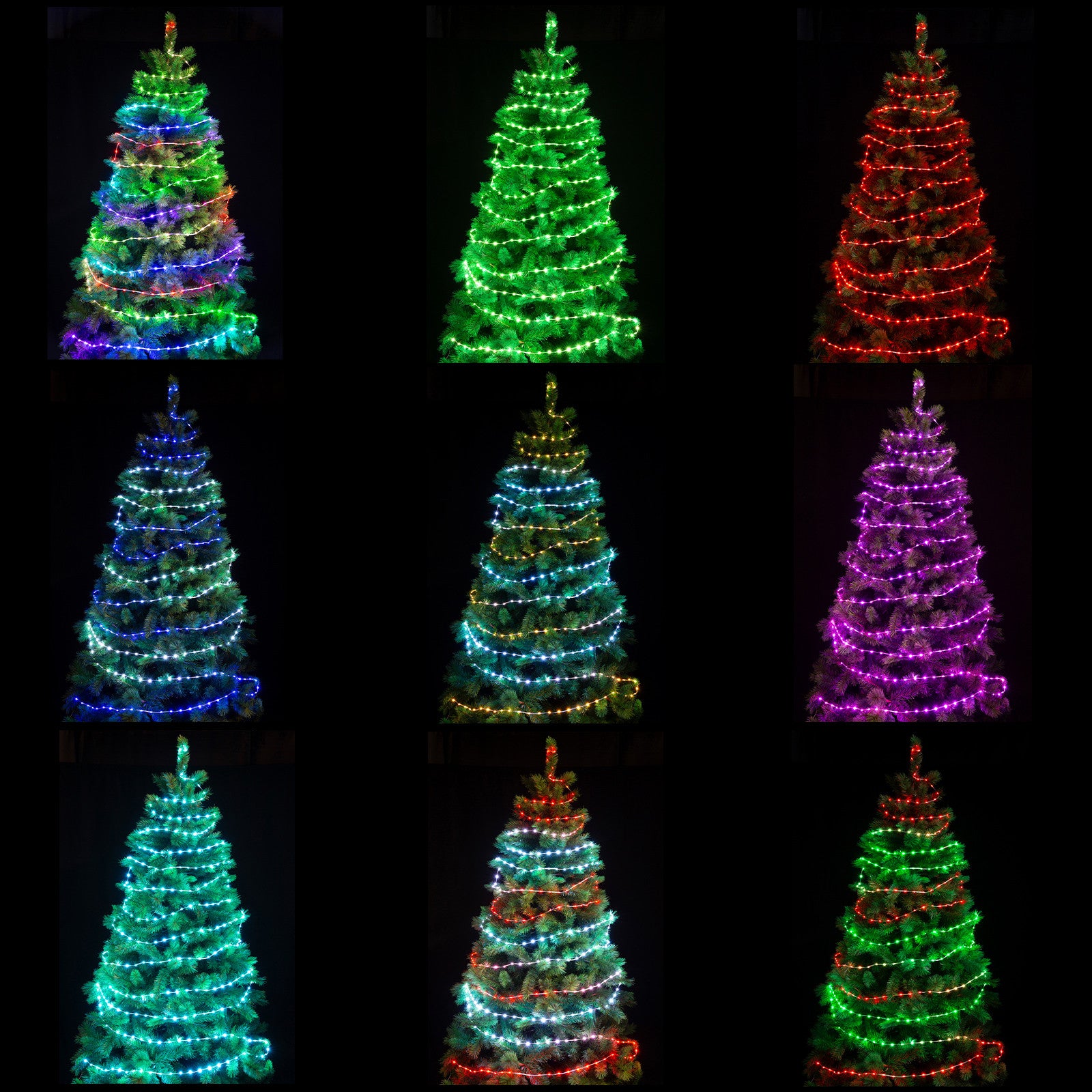 300 LED Smart App Control RGB USB