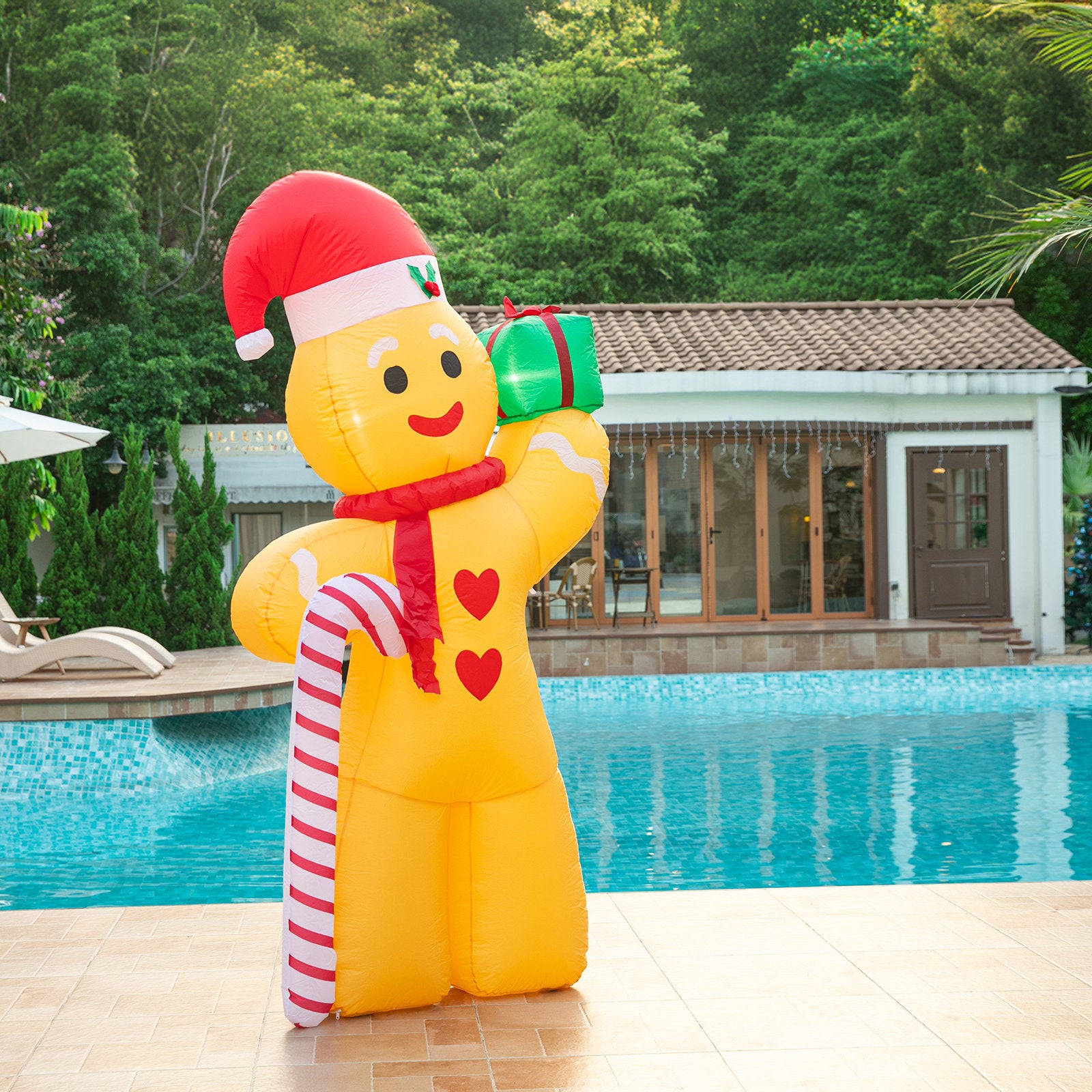 Gingerbread Man 2.4m