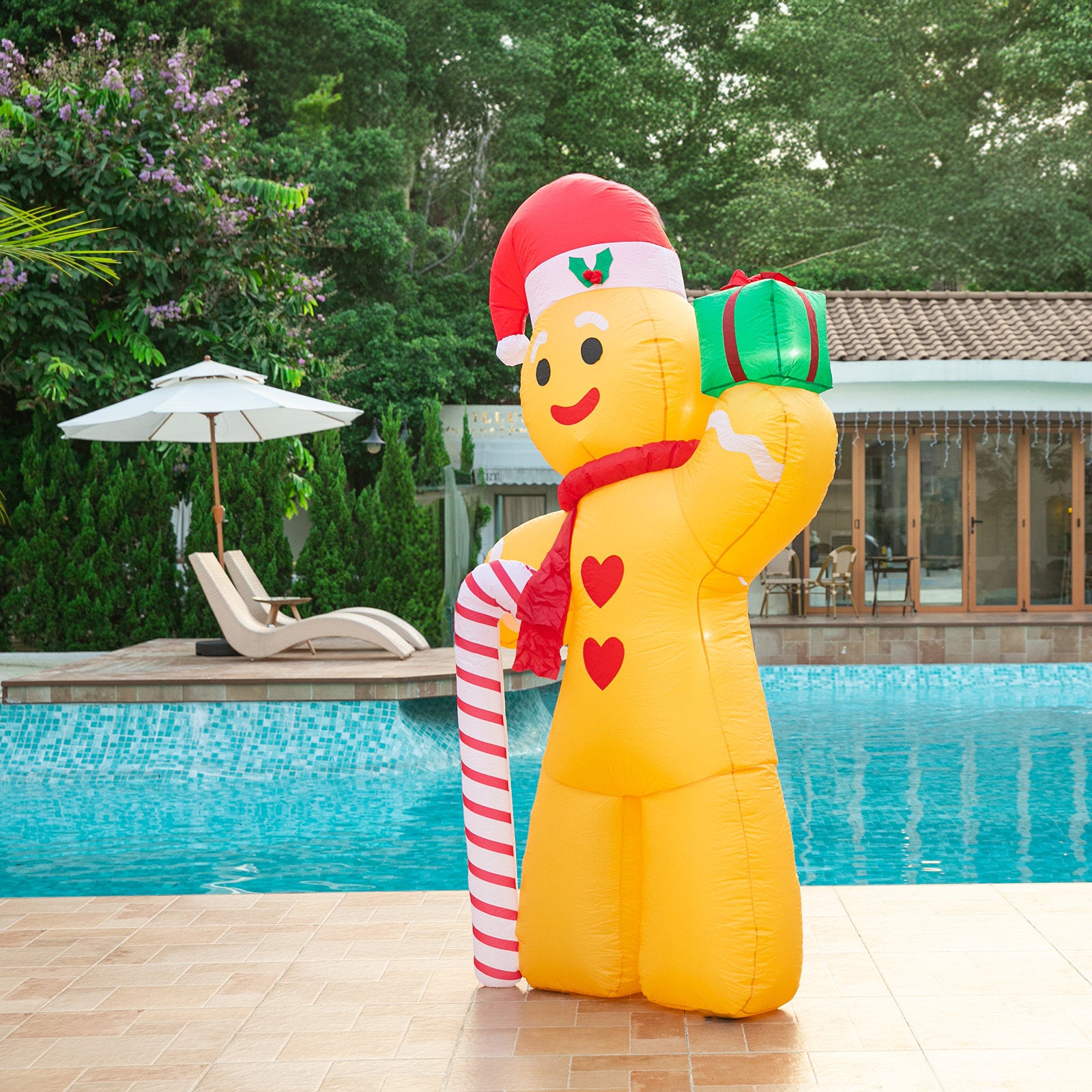 Gingerbread Man 2.4m