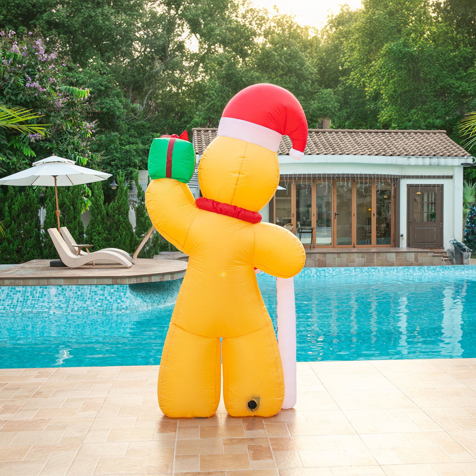 Gingerbread Man 2.4m