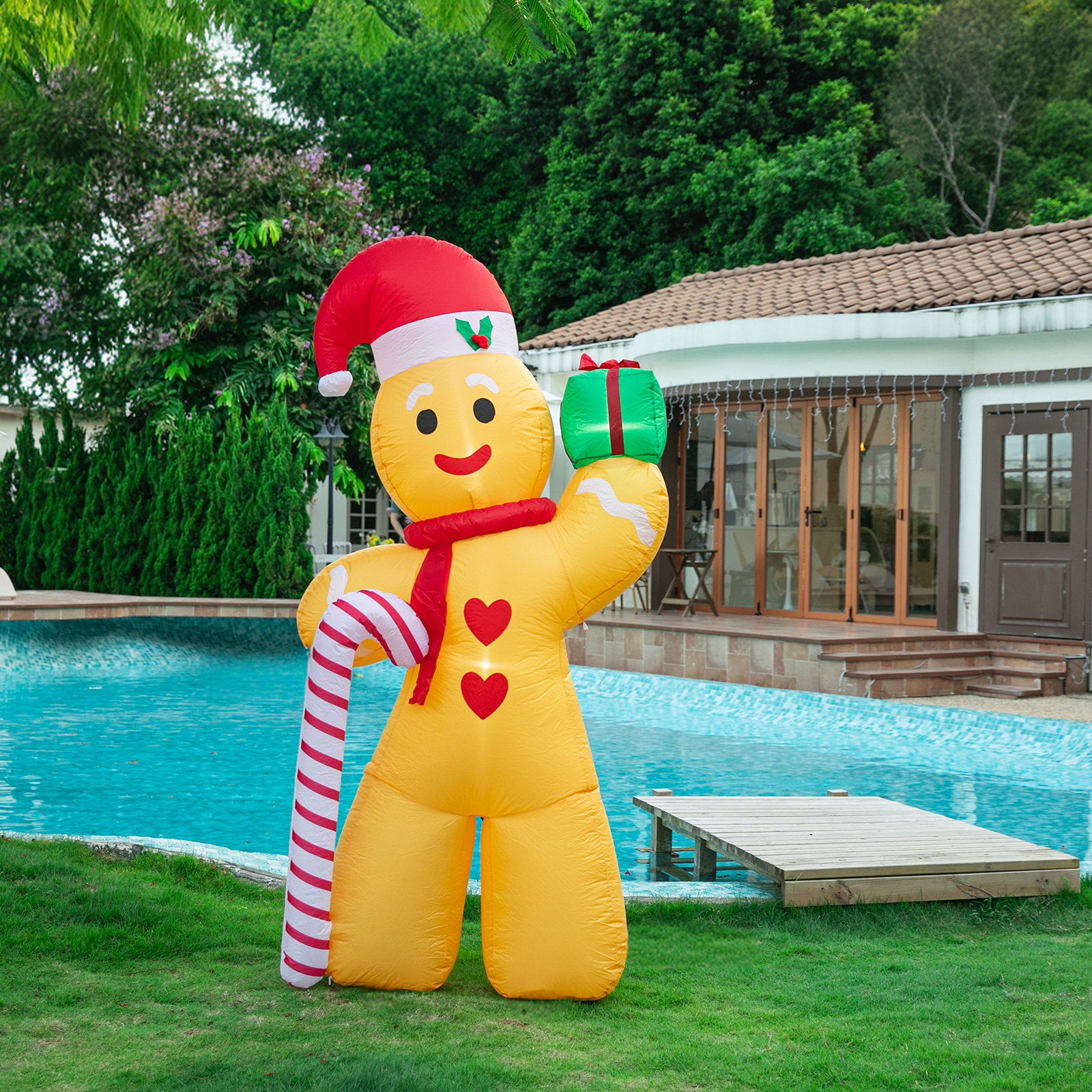 Gingerbread Man 2.4m