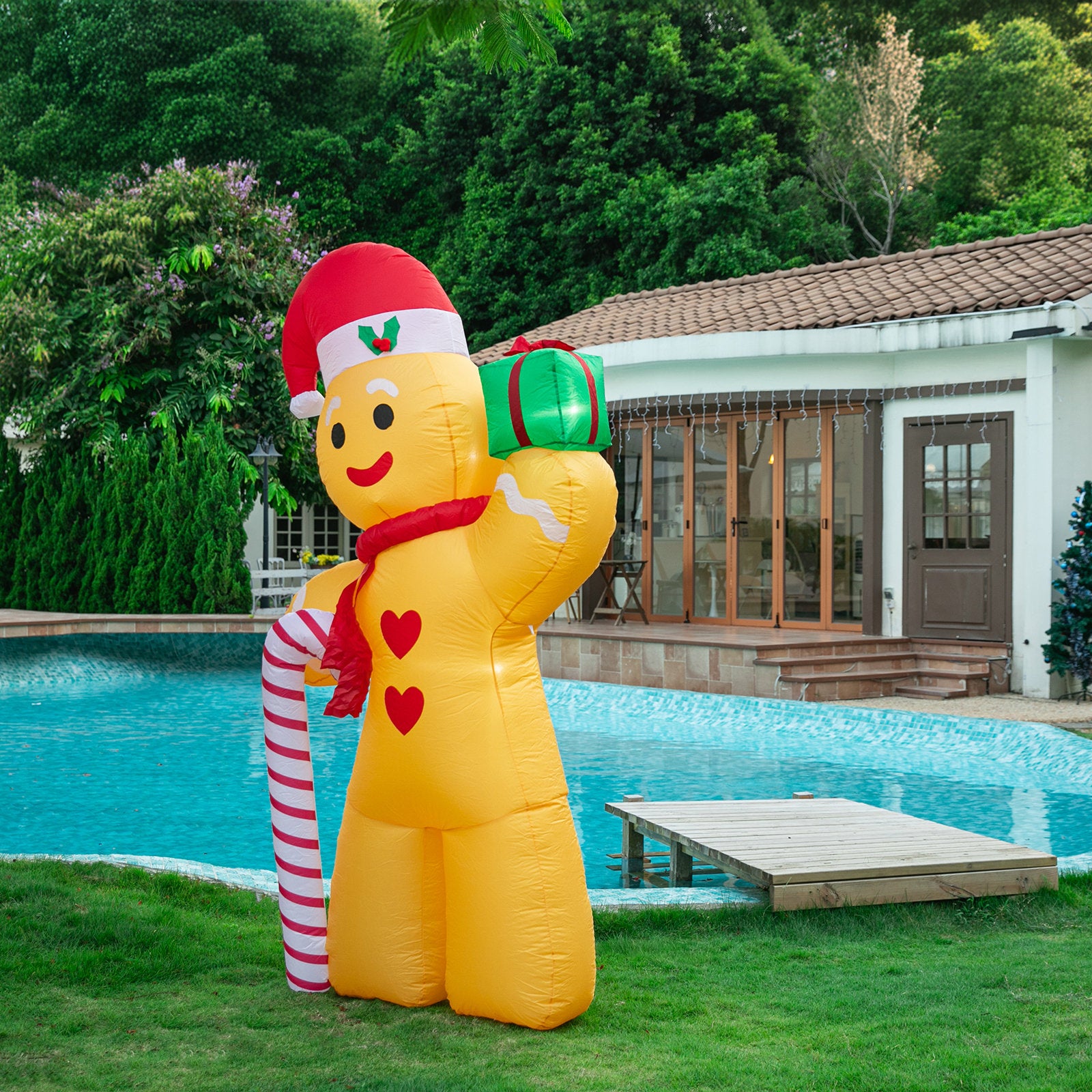 Gingerbread Man 2.4m