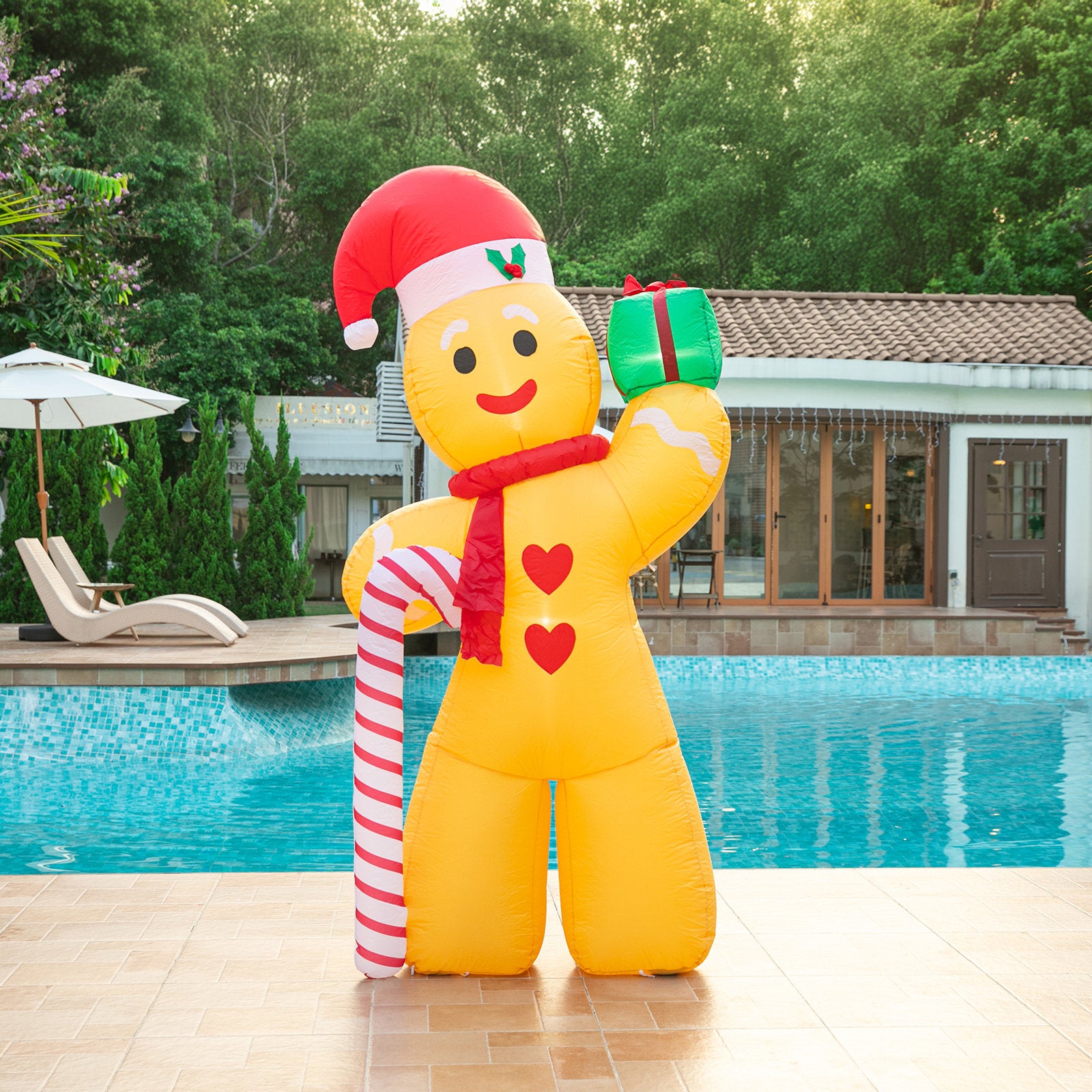 Gingerbread Man 2.4m